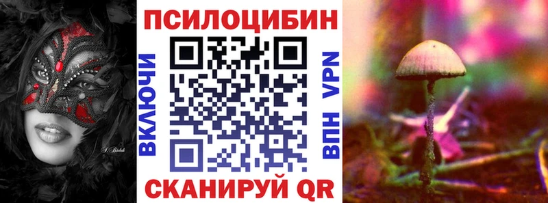 Галлюциногенные грибы прущие грибы  Черкесск 
